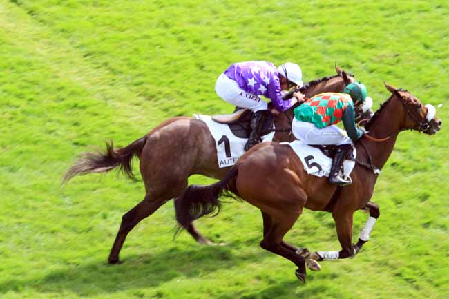 Photo d'arrivée de la course pmu PRIX ROBERT LEJEUNE à AUTEUIL le Mardi 19 septembre 2017