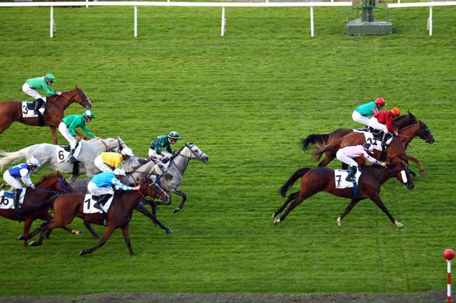 Photo d'arrivée de la course pmu PRIX DE PRIGNAC à SAINT-CLOUD le Jeudi 21 septembre 2017