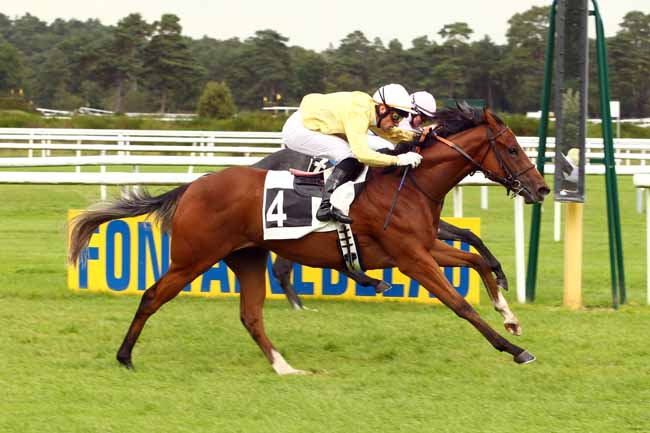 Photo d'arrivée de la course pmu PRIX DES FAYARDS à FONTAINEBLEAU le Vendredi 22 septembre 2017