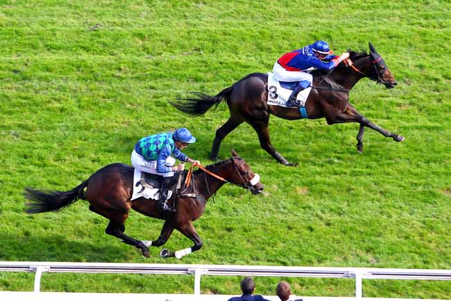 Photo d'arrivée de la course pmu PRIX DE MAISONS-LAFFITTE à AUTEUIL le Samedi 23 septembre 2017