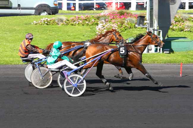 Photo d'arrivée de la course pmu PRIX DANGEUL à PARIS-VINCENNES le Dimanche 24 septembre 2017