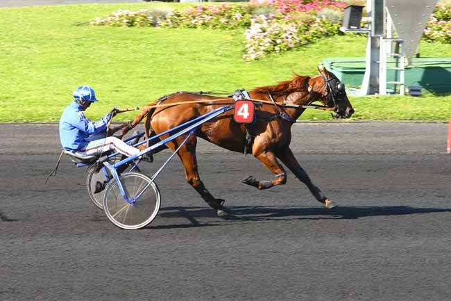 Photo d'arrivée de la course pmu GRAND PRIX DU PORTUGAL - PRIX EMILE BEZIERE à PARIS-VINCENNES le Dimanche 24 septembre 2017