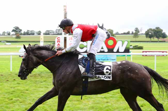 Photo d'arrivée de la course pmu PRIX PIGEON TP LOIRE-ANJOU - PRIX DE CHAMPAGNE à CRAON le Lundi 25 septembre 2017