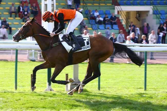 Photo d'arrivée de la course pmu PRIX DE CHABLIS à COMPIEGNE le Mardi 26 septembre 2017