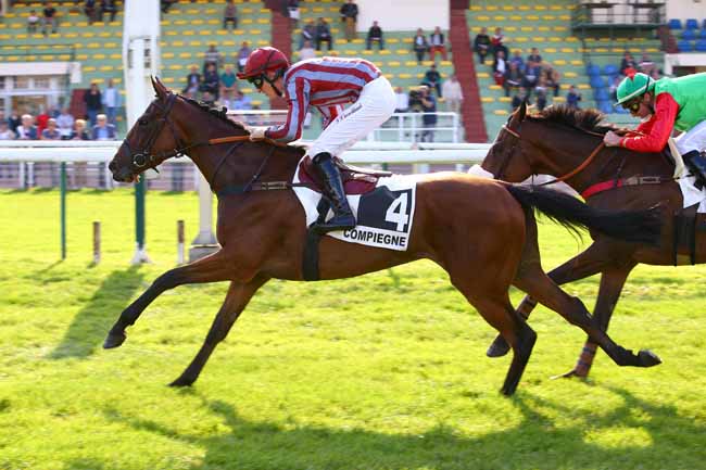 Photo d'arrivée de la course pmu PRIX D'AIX à COMPIEGNE le Mardi 26 septembre 2017