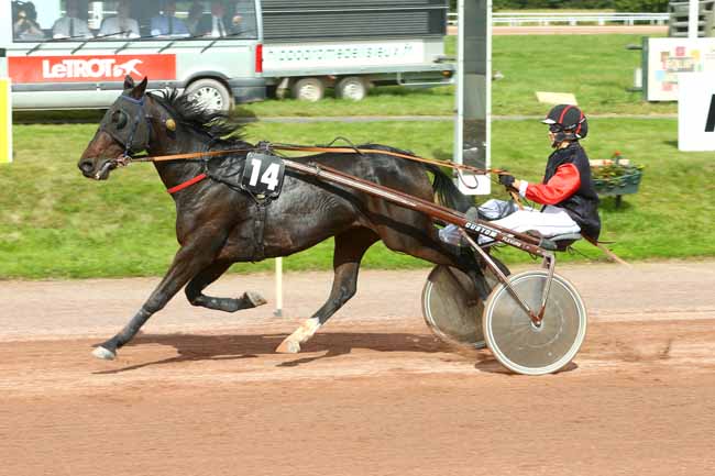 Photo d'arrivée de la course pmu PRIX VANS BARBOT à LISIEUX le Mercredi 27 septembre 2017