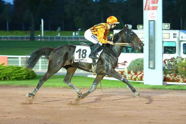 Photo d'arrivée de la course pmu PRIX DE THOMERY à ENGHIEN le Jeudi 28 septembre 2017