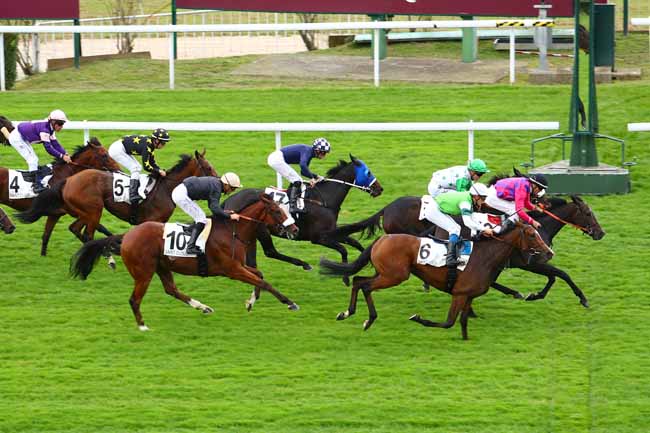 Photo d'arrivée de la course pmu PRIX DU LIEU FERAL à SAINT-CLOUD le Vendredi 29 septembre 2017