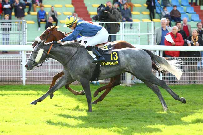 Photo d'arrivée de la course pmu PRIX DE GILOCOURT à COMPIEGNE le Mardi 3 octobre 2017