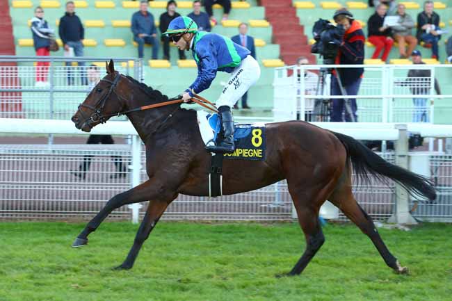 Photo d'arrivée de la course pmu PRIX D'HARAMONT à COMPIEGNE le Mardi 3 octobre 2017