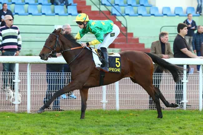 Photo d'arrivée de la course pmu PRIX D'EMEVILLE à COMPIEGNE le Mardi 3 octobre 2017