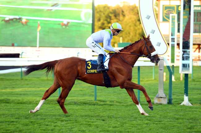 Photo d'arrivée de la course pmu PRIX D'ARRAS à COMPIEGNE le Mardi 3 octobre 2017