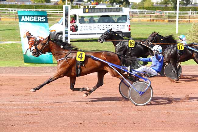 Photo d'arrivée de la course pmu GRAND PRIX ANJOU-MAINE à ANGERS le Mercredi 4 octobre 2017