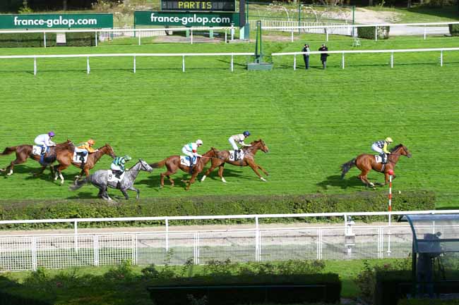 Photo d'arrivée de la course pmu PRIX DAHLIA - FONDS EUROPEEN DE L'ELEVAGE à SAINT-CLOUD le Mercredi 4 octobre 2017