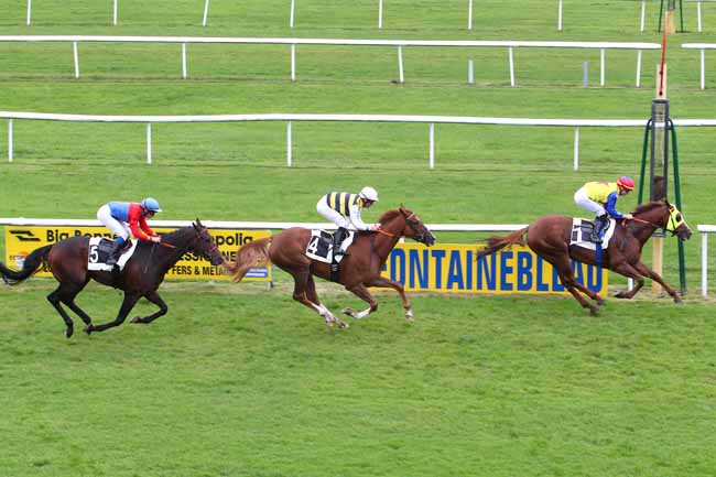 Photo d'arrivée de la course pmu PRIX ARTUS DE MAILLE à FONTAINEBLEAU le Jeudi 5 octobre 2017
