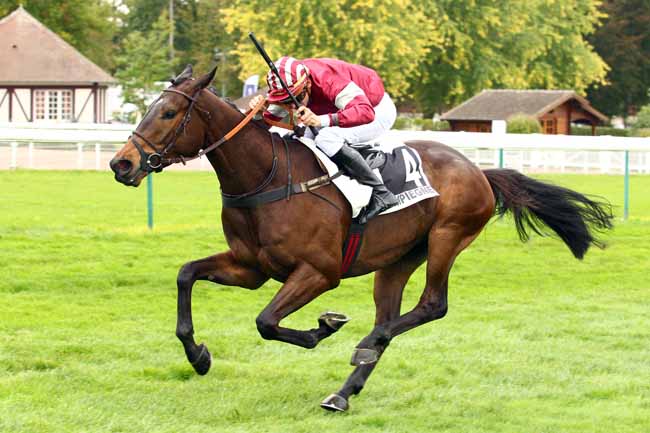 Photo d'arrivée de la course pmu PRIX DE THONON à COMPIEGNE le Jeudi 5 octobre 2017