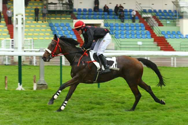 Photo d'arrivée de la course pmu PRIX DE PAU à COMPIEGNE le Jeudi 5 octobre 2017