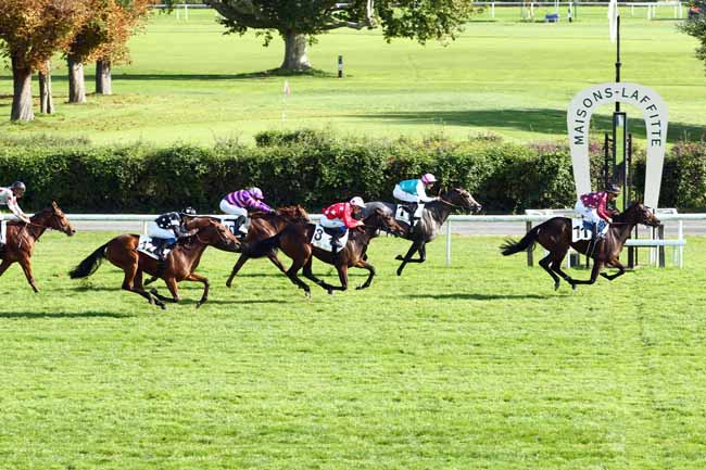 Photo d'arrivée de la course pmu PRIX TAHITI à MAISONS-LAFFITTE le Vendredi 6 octobre 2017