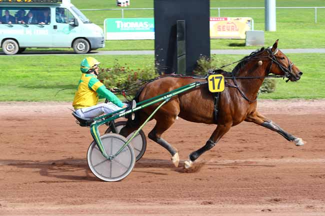 Photo d'arrivée de la course pmu PRIX DE LA VILLE DE FEURS à FEURS le Lundi 9 octobre 2017