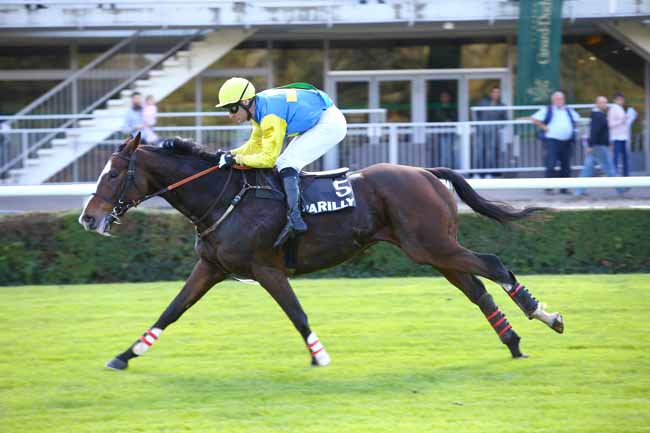Photo d'arrivée de la course pmu PRIX CERCLE DE L'ETRIER à LYON-PARILLY le Jeudi 12 octobre 2017