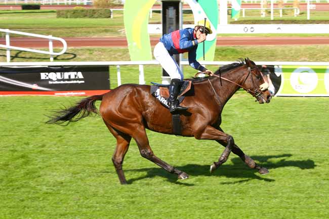 Photo d'arrivée de la course pmu PRIX P. DE SLANE à LYON-PARILLY le Jeudi 12 octobre 2017