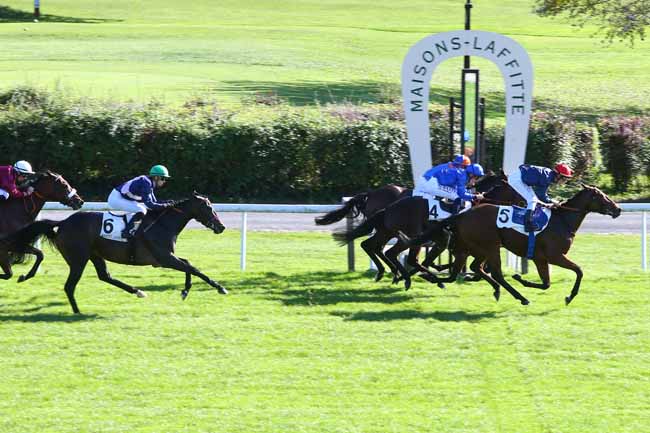 Photo d'arrivée de la course pmu PRIX MOTRICO à MAISONS-LAFFITTE le Vendredi 13 octobre 2017