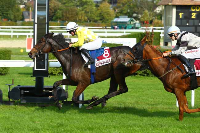 Photo d'arrivée de la course pmu PRIX DES PENSEES à CLAIREFONTAINE le Lundi 16 octobre 2017