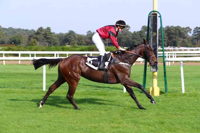 Photo d'arrivée de la course pmu PRIX DU LANCER à FONTAINEBLEAU le Mardi 17 octobre 2017