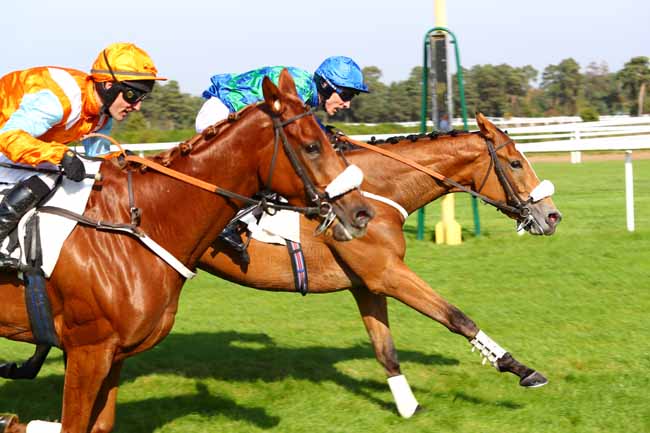 Photo d'arrivée de la course pmu PRIX D'URY à FONTAINEBLEAU le Mardi 17 octobre 2017