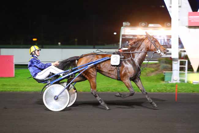 Photo d'arrivée de la course pmu PRIX LUDOVICA à PARIS-VINCENNES le Mardi 17 octobre 2017