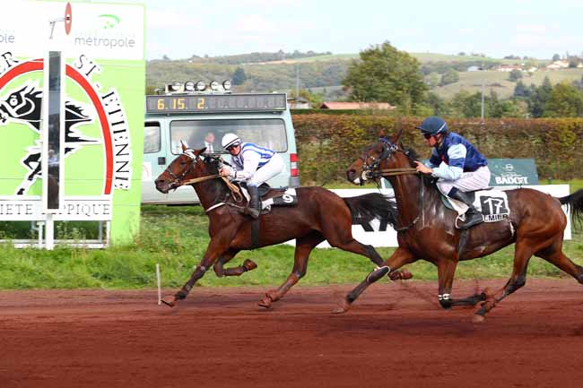 Photo d'arrivée de la course pmu PRIX DE LA VILLE DE SAINT-GALMIER à SAINT GALMIER le Mercredi 18 octobre 2017