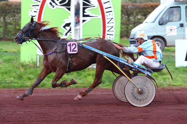 Photo d'arrivée de la course pmu PRIX DU CONSEIL DEPARTEMENTAL DE LA LOIR à SAINT GALMIER le Mercredi 18 octobre 2017