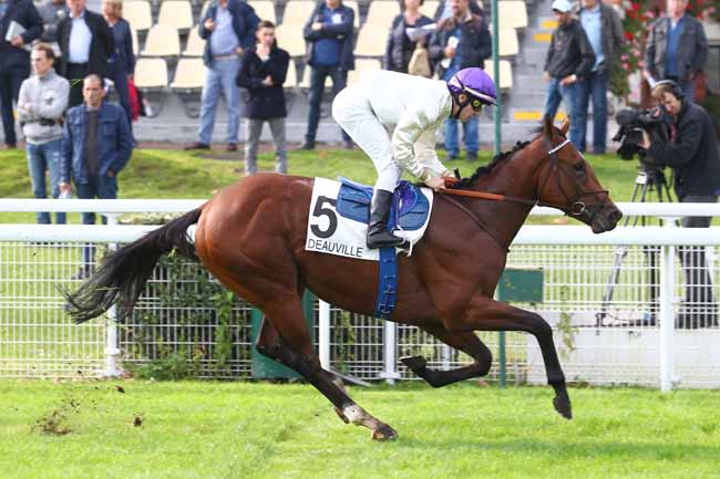 Photo d'arrivée de la course pmu PRIX DU MONT GOUBERT à DEAUVILLE le Mercredi 18 octobre 2017