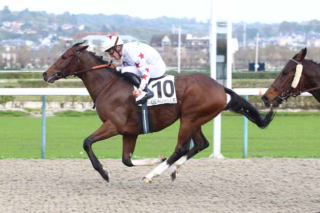 Photo d'arrivée de la course pmu PRIX DES CORDELLES à DEAUVILLE le Mercredi 18 octobre 2017
