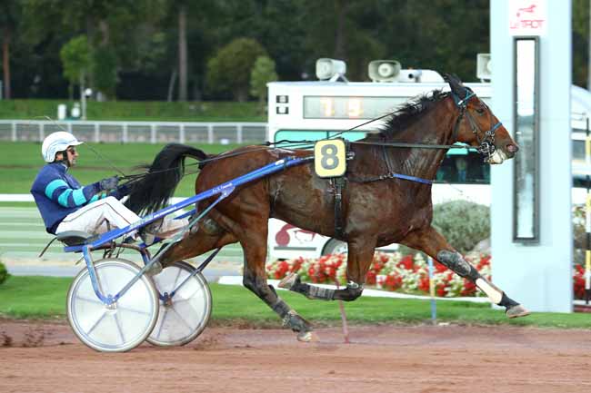 Photo d'arrivée de la course pmu PRIX DE LA PORTE DE CLIGNANCOURT (GR B) à ENGHIEN le Jeudi 19 octobre 2017