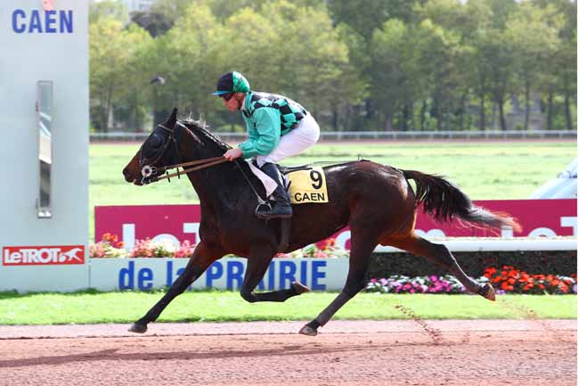 Photo d'arrivée de la course pmu PRIX DE NEHOU à CAEN le Samedi 21 octobre 2017
