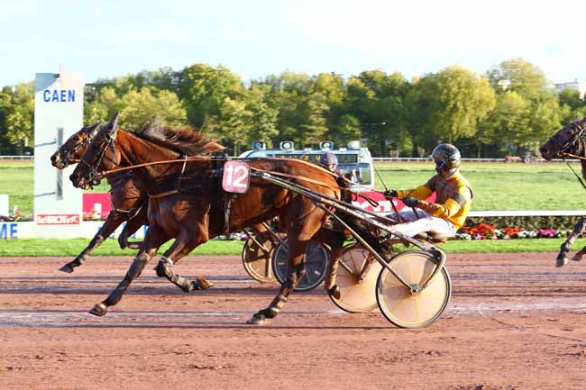 Photo d'arrivée de la course pmu PRIX D'AIRAN à CAEN le Samedi 21 octobre 2017