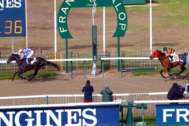 Photo d'arrivée de la course pmu PRIX DE MONTEPILLOY à CHANTILLY le Samedi 21 octobre 2017