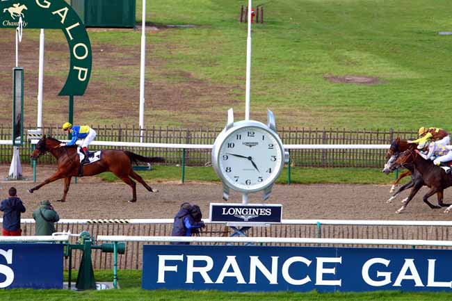 Photo d'arrivée de la course pmu PRIX DE LABRUYERE à CHANTILLY le Samedi 21 octobre 2017