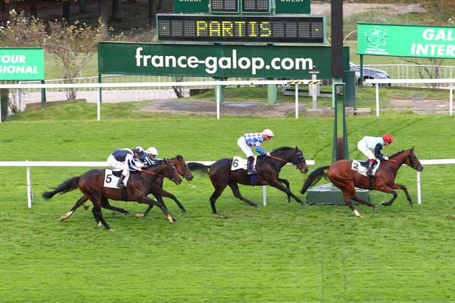 Photo d'arrivée de la course pmu PRIX DES JARDINS D'EOLE à SAINT-CLOUD le Dimanche 22 octobre 2017