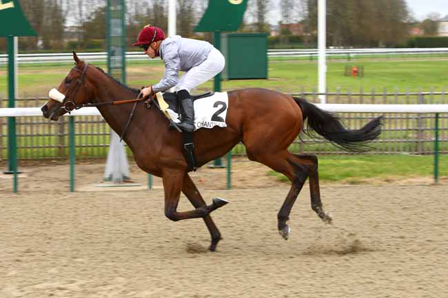 Photo d'arrivée de la course pmu PRIX DES BRISEES à CHANTILLY le Lundi 23 octobre 2017