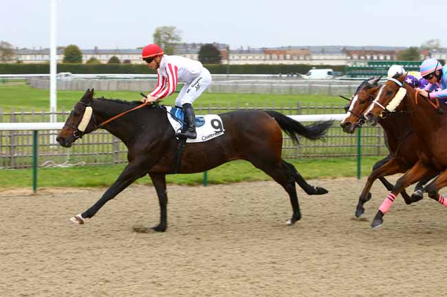 Photo d'arrivée de la course pmu PRIX DE NEUILLY-EN-THELLE à CHANTILLY le Lundi 23 octobre 2017