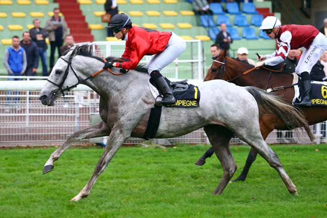 Photo d'arrivée de la course pmu PRIX DU MONT SAINT-JEAN à COMPIEGNE le Mardi 24 octobre 2017