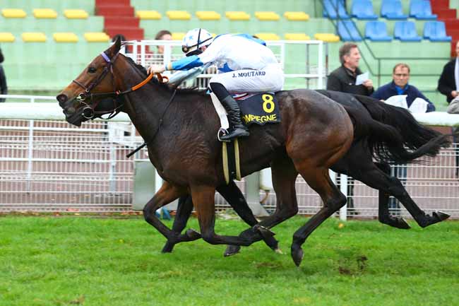 Photo d'arrivée de la course pmu PRIX POGGIO RICCO à COMPIEGNE le Mardi 24 octobre 2017