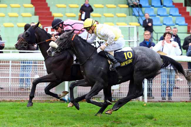 Photo d'arrivée de la course pmu PRIX DU PUITS D'ORLEANS à COMPIEGNE le Mardi 24 octobre 2017