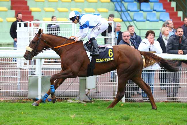 Photo d'arrivée de la course pmu PRIX DE LA BREVIERE à COMPIEGNE le Mardi 24 octobre 2017