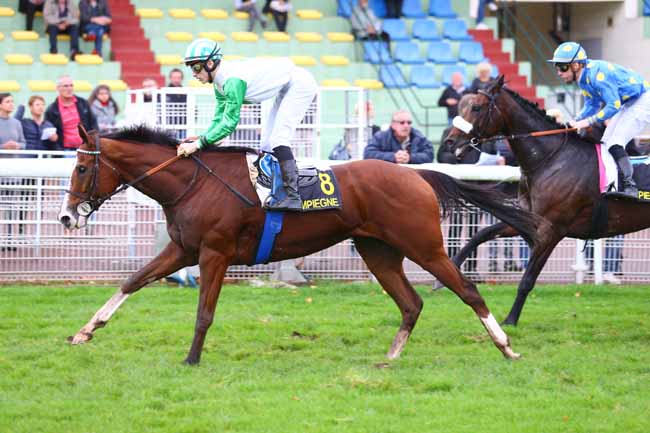 Photo d'arrivée de la course pmu PRIX DE LA CHATAIGNERAIE à COMPIEGNE le Mardi 24 octobre 2017