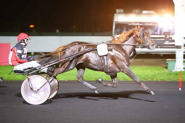 Photo d'arrivée de la course pmu PRIX CALIFORNIA à PARIS-VINCENNES le Mardi 24 octobre 2017