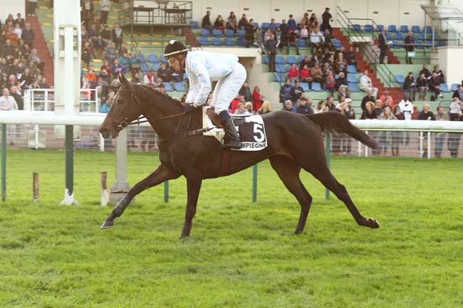 Photo d'arrivée de la course pmu PRIX ROGER SAINT à COMPIEGNE le Samedi 28 octobre 2017