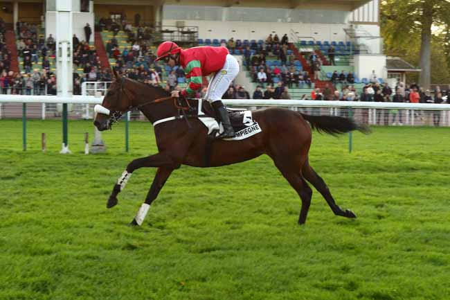 Photo d'arrivée de la course pmu PRIX LOGGIA à COMPIEGNE le Samedi 28 octobre 2017